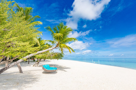 Luxury beach resort beach swing palm tree blue sea white sand. Sunny sky tropical island Maldives, summer vacation, holiday tourism design. Exotic landscape, inspirational leisureの写真素材