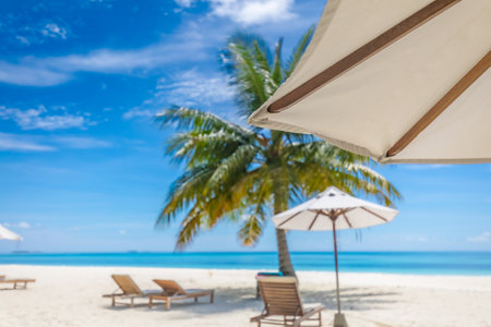 Summer exotic sandy beach with blur palms and sea on background. blurred blue sea and white sand beach background. Luxury vacation and holiday concept, beach landscapeの写真素材