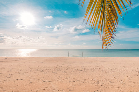 Beach volleyball net and palm tree on the beach with sea and sky backgroundの写真素材