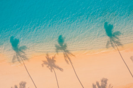 Palm trees shadows sunset silhouette on the sandy beach turquoise ocean from above. Amazing summer nature landscape. Best relaxing peaceful vacation and inspirational wallpaperの写真素材