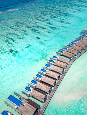 Aerial summer landscape. Maldives paradise beach. Tropical island. Beautiful palm trees and tropical beach. Colorful ocean coast shore lagoon. Luxury travel summer holidayの写真素材