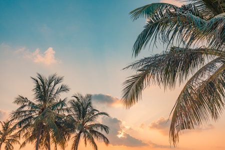 Green palm trees on sunset sky background. Tropical nature pattern. Coco palm tree landscape. Summer...