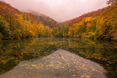 Beautiful dramatic view of autumn forest over clouds fog. Fall season nature landscape, amazing colors, orange yellow golden leaves. Dream nature calm lake water reflection foliageの写真素材