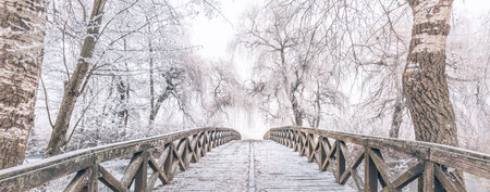 Cold winter day. View of wooden bridge in the forest hoarfrost on trees and frozen nature landscape. Winter botanical garden, showing a bridge over frozen water, snow covered treesの写真素材
