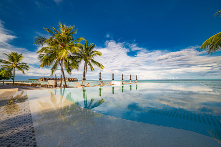 Outdoor tourism landscape. Luxurious beach resort with swimming pool and beach chairs or loungers under umbrellas with palm trees and blue sky. Summer travel and vacation background conceptの写真素材