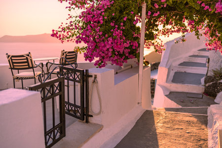 Beautiful Caldera enjoying romantic sunset Aegean sea, Santorini. Couple travel vacation, honeymoon destination. Romance with flowers, two chairs table and sea view. Luxury holidayの写真素材
