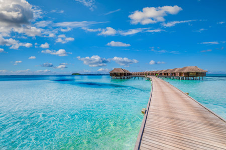 Amazing Maldives paradise beach. Exotic tropical island wooden pier pathway. Beautiful palm trees tropical beach. blue sky and blue lagoon. Luxury travel summer landscapeの写真素材