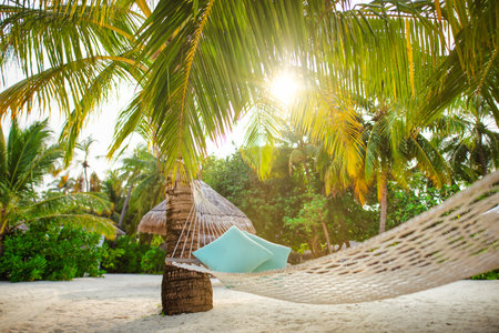 Ultimate relaxation, hanging hammock on palm tree soft sun rays under palm leaves. Tropical island nature, carefree leisure summer beach vacation, romantic luxury leisure lifestyleの写真素材