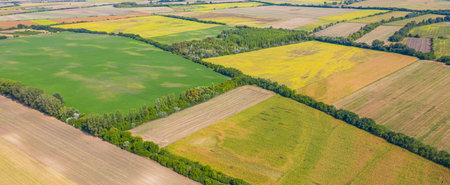 Aerial view of agricultural fields. Aerial top view photo from flying drone of a land with sown...