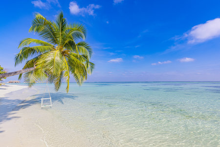 Tropical beach background. Summer island palm tree over lagoon, beach swing hammock hanging over calm sea. Amazing beach landscape vacation holiday, freedom, carefree recreationalの写真素材