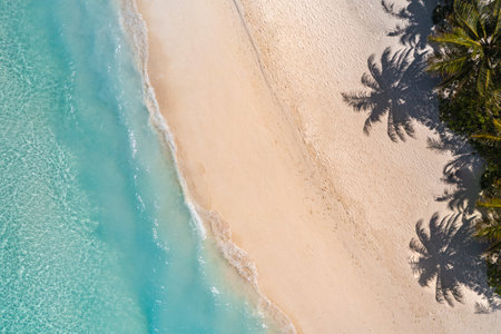 Aerial top view sand beach. Tropical beach white sand turquoise sea, palm trees sunlight. Drone luxury travel destination scenic, vacation landscape. Amazing nature paradise islandの写真素材