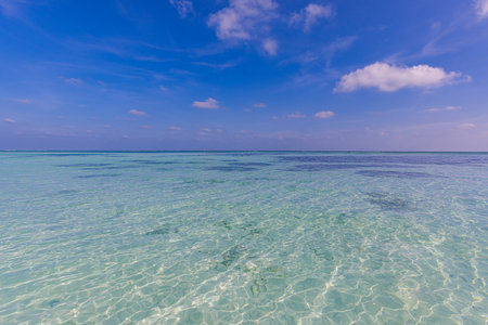 Tropical beach with turquoise water and blue sky background. Relaxing seascape with wide horizon of the sky and the sea. Ocean nature, marine life. Seascape with sea horizonの写真素材