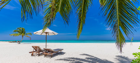 Beautiful tropical beach banner. White sand coco palm leaves travel tourism wide panorama. Summer sea horizon idyllic island nature. Amazing landscape. Luxury resort coast vacationの写真素材