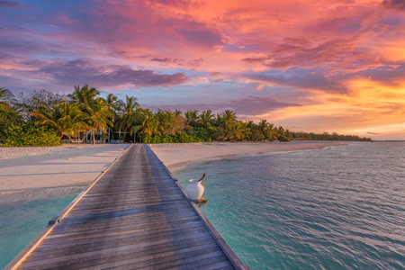 Sunset on Maldives island resort. Wooden pier beautiful sky clouds over tropical palm beach sea for summer luxury vacation holiday travel. Paradise sunset, exotic holiday landscapeの写真素材