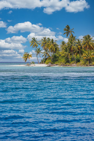Beautiful tropical beach coconut palm trees, turquoise ocean blue sky clouds on sunny summer day. Fantastic island landscape background relaxing vacation. Exotic paradise sea coastの写真素材
