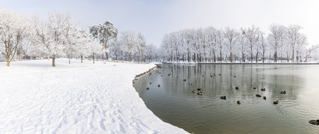 Idyllic winter lake panorama. Soft sunlight icy lake water tree silhouette with calm cold tones. Winter landscape, trail pathway snow. Ducks in pond city park, panoramic snowy viewの写真素材