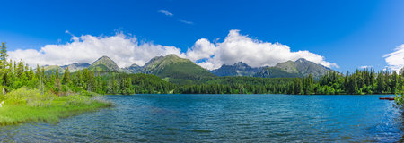 Mountain landscape, picturesque lake in spring summer morning, panorama. Green pine forest sunny...