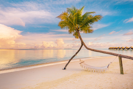 Relax vacation leisure lifestyle on exotic tropical island beach, palm tree hammock hanging calm sea. Paradise beach landscape, water villas, sunrise sky clouds amazing reflectionsの写真素材
