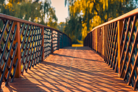 Beautiful wooden bridge in the autumn forest. Warm sunlight with shadows on pathway into blurred sunset forest. Seasonal fall landscape abstract nature outdoors closeup.の写真素材