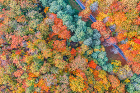 Aerial view dream majestic mountain forest in autumn road. Colorful autumn sunrise meadow. Panoramic nature landscape soft pastel colors dream nature sunset fall idyllic backgroundの写真素材
