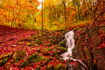 Autumn forest waterfall colorful fallen leaves. Beautiful landscape. Idyllic travel hiking beautiful seasonal autumn nature. Amazing dream scenic colorful outdoor inspire natureの写真素材