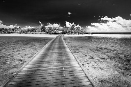 Black and white wooden bridge paradise island. Tropical coast landscape, palm trees white sand exotic sea bay dramatic monochrome. Tranquil travel background, minimal dark tonesの写真素材