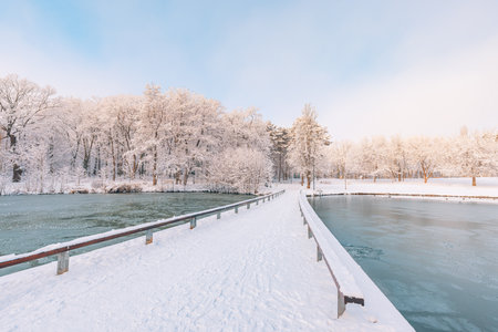Winter forest lake wooden bridge at sunset. Panoramic landscape snowy trees, sunlight beautiful frozen river frozen water. Seasonal winter trees, lake blue sky. Frosty snowy riverの写真素材