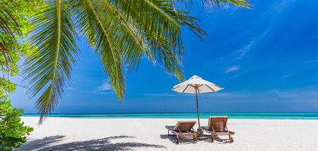 Tropical tourism beach. Summer landscape. Freedom romantic chairs palm leaves calm sea sand sky relax. Luxury travel resort beautiful destination vacation holiday. Couples beachの写真素材
