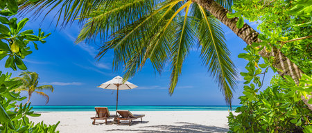 Beautiful tropical beach. White sand coco palms travel tourism wide panorama. Summer sea horizon, idyllic island nature. Amazing landscape. Luxury island resort vacation or holidayの写真素材