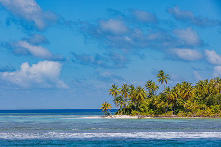Amazing nature beach sand palm trees and moody sky. Tranquil summer vacation travel holiday background tourism. Island resort hotel paradise beach. Luxury travel summer holidayの写真素材