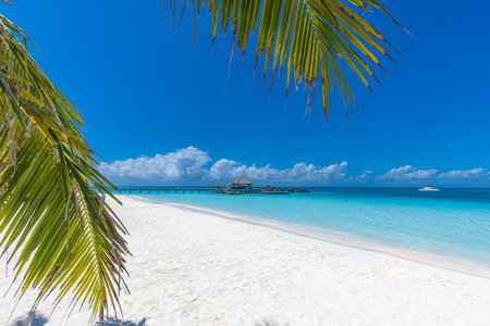 Amazing panorama at Maldives. Luxury resort villas seascape with palm trees, white sand and blue sky. Beautiful summer landscape. Amazing beach vacation holiday. Paradise islandの写真素材