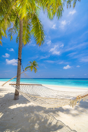 Relax vacation leisure lifestyle on exotic tropical island beach, palm tree hammock hanging calm sea. Paradise beach landscape, water villas, sunny sky amazing. Beautiful natureの写真素材