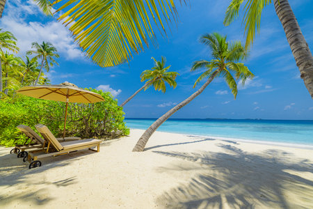 Tranquil beach scene. Exotic panorama in tropical island resort, palm trees, white sand, blue sky and sea. Honeymoon destination, summer vacation or holiday tourism coastlineの写真素材