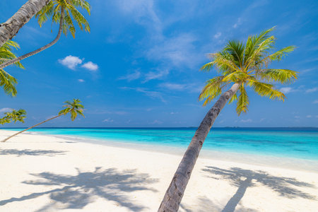 Best tropical beach landscape. Fantastic summer coast, vacation destination, palm trees, white sand, sunny sky. Freedom travel, amazing sea lagoon, paradise shore nature landscapeの写真素材