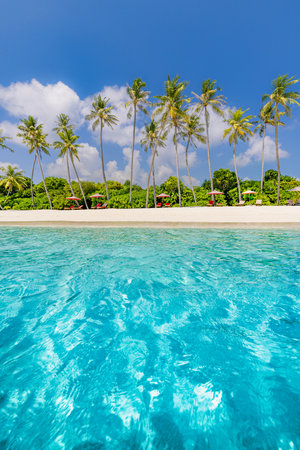 Beautiful island nature landscape. Best tropical beach landscape. Fantastic summer coast vacation destination palm trees sand sunny sky. Freedom travel, amazing sea bay paradiseの写真素材