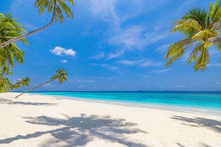 Best tropical beach landscape. Fantastic summer coast, vacation destination, palm trees, white sand, sunny sky. Freedom travel, amazing sea lagoon, paradise shore nature landscapeの写真素材