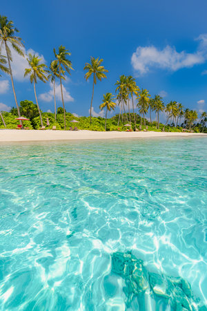Beautiful island nature landscape. Best tropical beach landscape. Fantastic summer coast vacation destination palm trees sand sunny sky. Freedom travel, amazing sea bay paradiseの写真素材