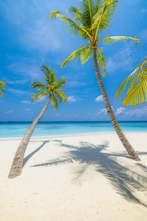 Best tropical beach landscape. Fantastic summer coast, vacation destination, palm trees, white sand, sunny sky. Freedom travel, amazing sea lagoon, paradise shore nature landscapeの写真素材