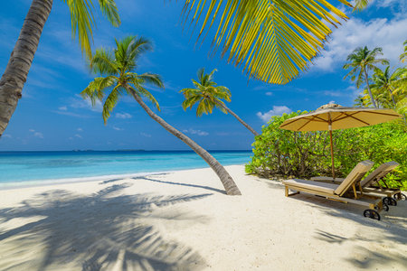 Tranquil beach scene. Exotic panorama in tropical island resort, palm trees, white sand, blue sky and sea. Honeymoon destination, summer vacation or holiday tourism coastlineの写真素材