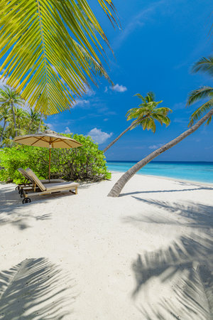 Tranquil beach scene. Exotic panorama in tropical island resort, palm trees, white sand, blue sky and sea. Honeymoon destination, summer vacation or holiday tourism coastlineの写真素材