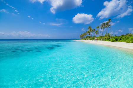 Beautiful island nature landscape. Best tropical beach landscape. Fantastic summer coast vacation destination palm trees sand sunny sky. Freedom travel, amazing sea bay paradiseの写真素材