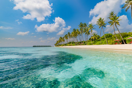 Beautiful island nature landscape. Best tropical beach landscape. Fantastic summer coast, vacation destination, palm trees, white sand, sunny sky. Freedom travel, amazing sea bayの写真素材
