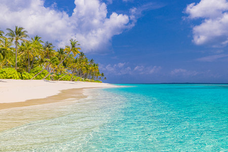 Beautiful island nature landscape. Best tropical beach landscape. Fantastic summer coast vacation destination palm trees sand sunny sky. Freedom travel, amazing sea bay paradiseの写真素材