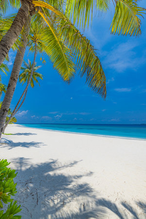 Best tropical beach landscape. Fantastic summer coast, vacation destination, palm trees, white sand, sunny sky. Freedom travel, amazing sea lagoon, paradise shore nature landscapeの写真素材