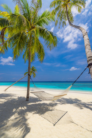 Paradise beach, relax landscape beach swing hammock on coconut palm and white sand calm sea sunny sky for exotic coast. Amazing beach scene vacation summer holiday. Luxury travelの写真素材