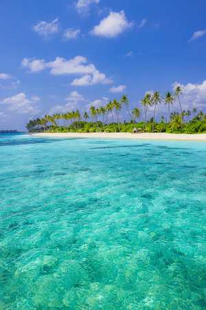 Peaceful sunny beach on tropical island with calm shore white sand turquoise sea and palm trees perfect for vacation travel relaxation nature escape scenic paradise backgroundの写真素材