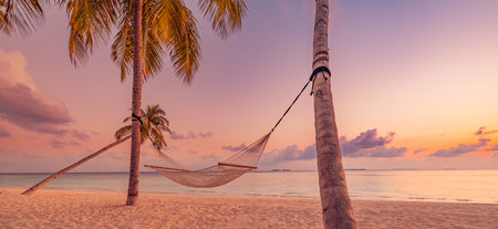 Sunset hammock hanging between palm trees tropical beach peaceful serene landscape warm golden sky perfect summer vacation escape relax carefree travel tourism tranquil retreatの写真素材