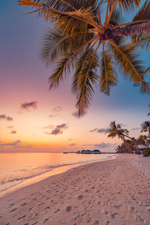 Closeup of sea waves and sandy shore under sunshine sky on tropical island beach, romantic palm trees landscape inspiring dreamy relaxation, tranquility, and serene travel vibesの写真素材
