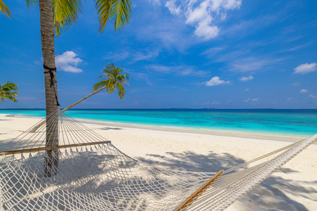 Sunny hammock between palm trees tropical beach, peaceful serene nature bright blue sky ideal summer vacation destination carefree relaxation travel, tourism tranquil island escapeの写真素材