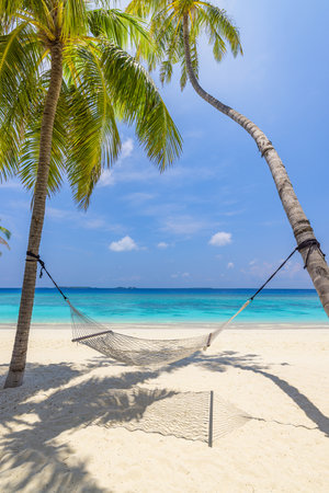 Tropical beach paradise as summer landscape beach swing or hammock and white sand, calm sea for serene beach. Luxury beach scene vacation summer relax. Exotic island nature travelの写真素材